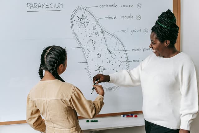 Science Tutoring